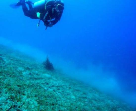 A diver works another ancient shipwreck off the coast of Italy, in 2012