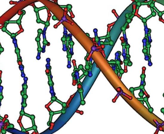 Genetics and our ancient past