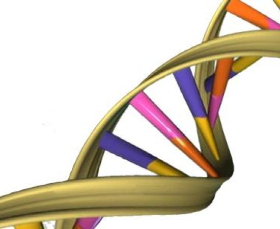 New DNA method