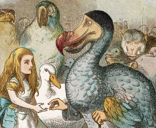 Illustration by John Tensile of the Dodo from Lewis Carroll’s “Alice's Adventures in Wonderland.” Source: Archivist / Adobe Stock