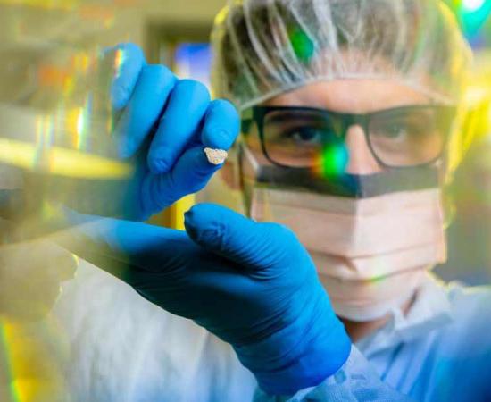 10,000-Year-Old Dog Bone Supports Theory of Coastal Route to the Americas