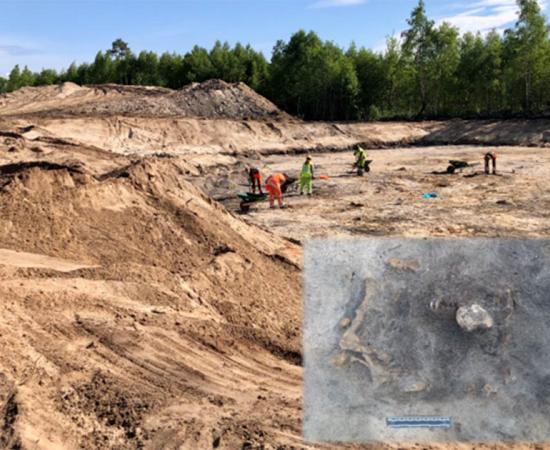 Respect For Canines Shown In Stone Age Dog Burial In Sweden