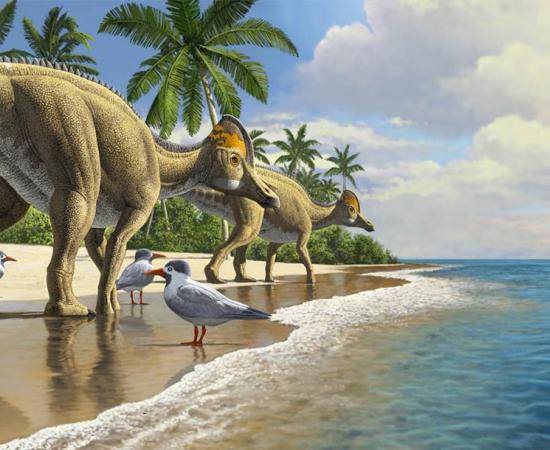 New Duckbill Dinosaur Evidence Shows That Dinosaurs Crossed Oceans