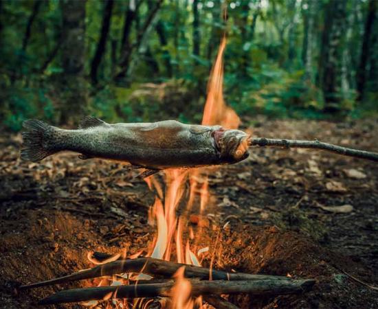 A small fish being cooked over a fire. Evidence of cooking fish has been found from 780,000 years ago.	Source: Nicolas VINCENT/Adobe Stock