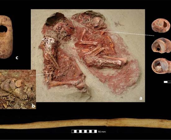 Thanks to new DNA analysis, the Krems-Wachtberg infants discovered in 2005 have now been identified as the earliest twins discovered to date. Source: OREA / Austrian Academy of Sciences