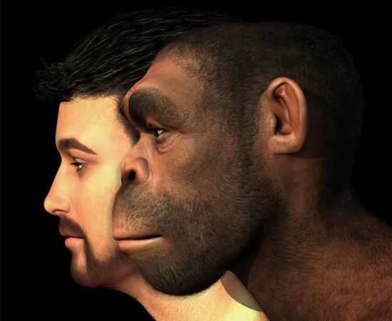 Early human interbreeding is well known but a recent research study has shown that modern humans both received and gave DNA to Neanderthals, proving that these hominin cousins met more than once in the long arc of prehistoric time.      