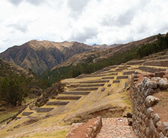 Humans Began Mass Ecological Destruction 3,000 Years Ago