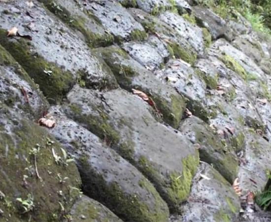 Lost City of Giants - Ecuador