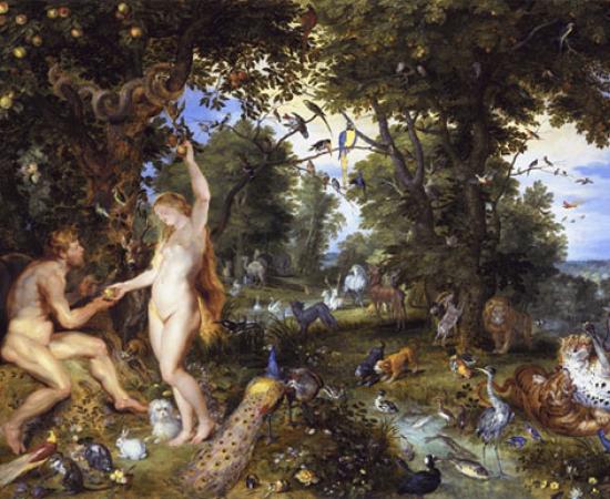 Eden - Paradise lost