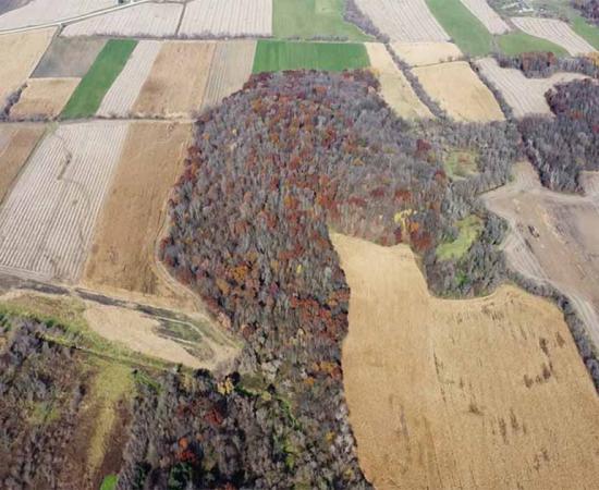 Image of the effigy mound found near Lebanon, Wisconsin. Source: Chuck Werth