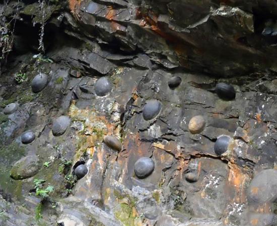 Eggs protruding from the side of the egg-laying mountain in China. Source: AsiaWire