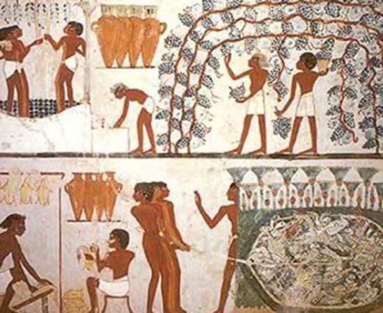 Food and wine preparation - Egyptians