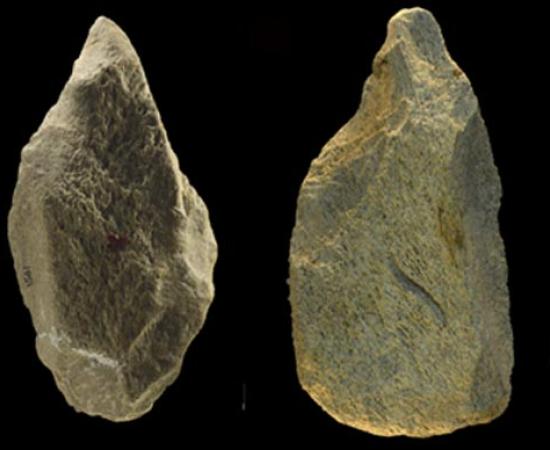 A closeup of a few of the 98 verified elephant bone tools found in Rome, Italy, which have been attributed to an archaic hominin species based on a recent study published in the Plos One journal.		Source: 	Plos One