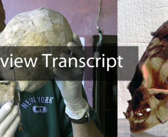 Elongated Skull in Paracas - Interview transcript