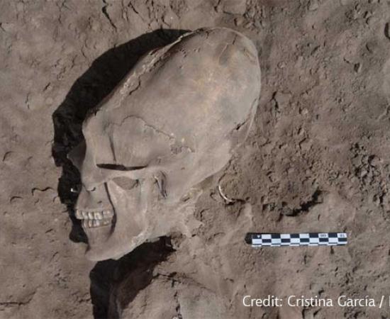 Mexico's elongated Skulls