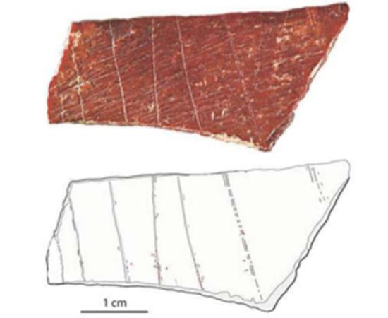 Photograph (top) and tracing (bottom) of an engraved human bone fragment found at Lingjing in China’s Henan Province. Source: Francesco d’Errico and Luc Doyon / Fair Use.