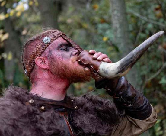 Representation of Erik the Red. Source: Gelpi/Adobe Stock 