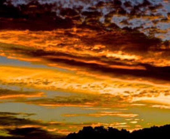 Invisible waveforms, ET and other Transmissions