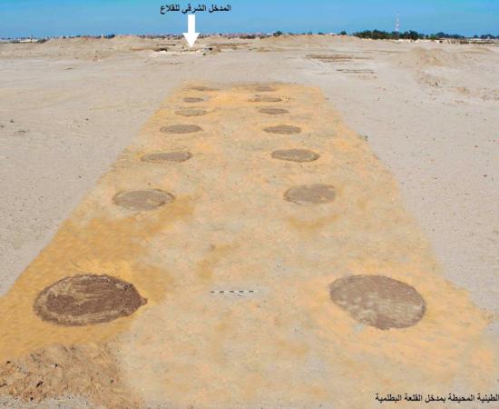  Aerial view of planting circles and road, leading to fortress ruins indicated in the distance.