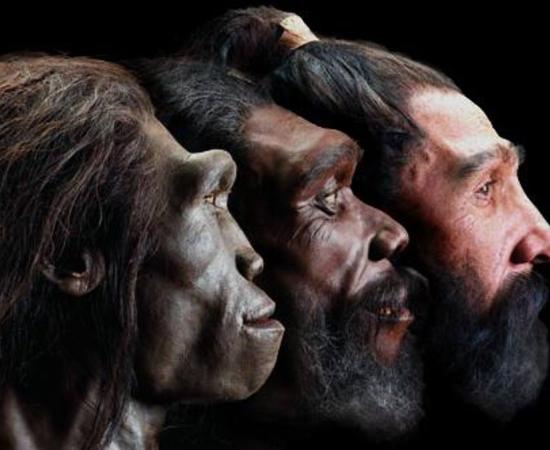 Image of reconstructed faces of three early humans in profile view. 