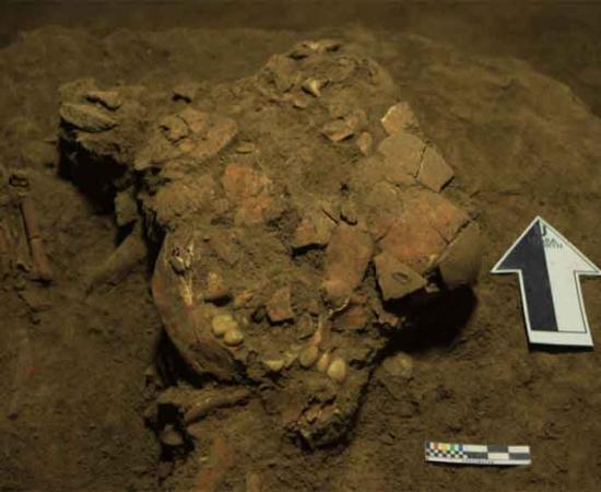 Ancient DNA Sample From Indonesia Is From An Extinct Human Lineage