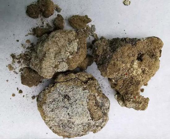 The facial cream found in a 2,700-year-old nobleman’s grave in Liujiawa, China.  