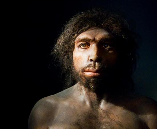 Homo antecessor shared many facial features with modern humans. Source: Terrae Antiqvae