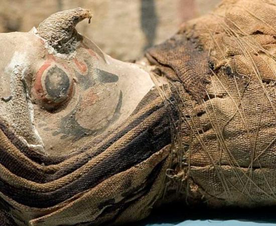 A mummified falcon found in Egypt (rob Koopman / CC by SA 2.0)