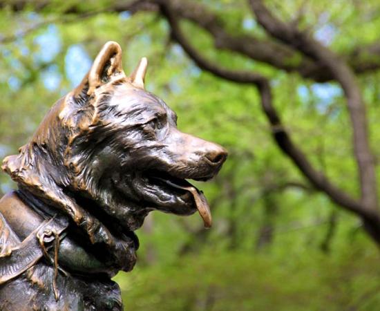 Famous Dogs in History, from Ancient Greece until Today