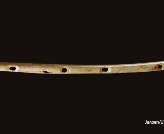 Old Flute in Germany - Origins of Music