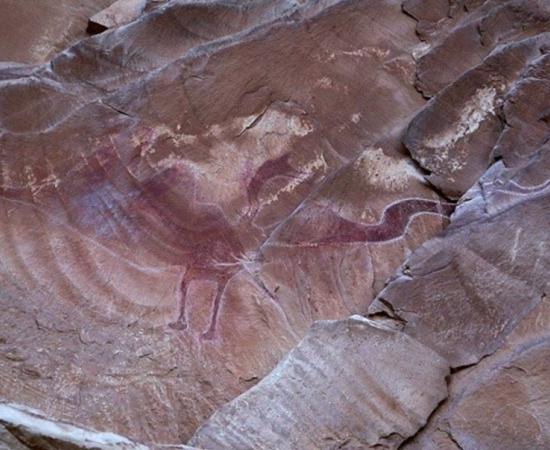 The line drawn around the painting makes it look like a flying creature. 