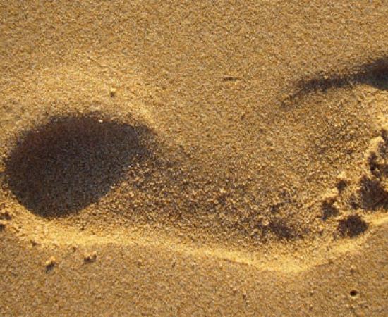 Early Humans Footprints