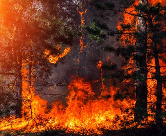 Source: Lumppini / Adobe Stock