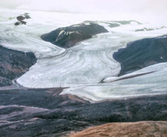 Ellesmere Island Canada where researchers are reviving frozen lifeforms. Source: James / Adobe Stock.
