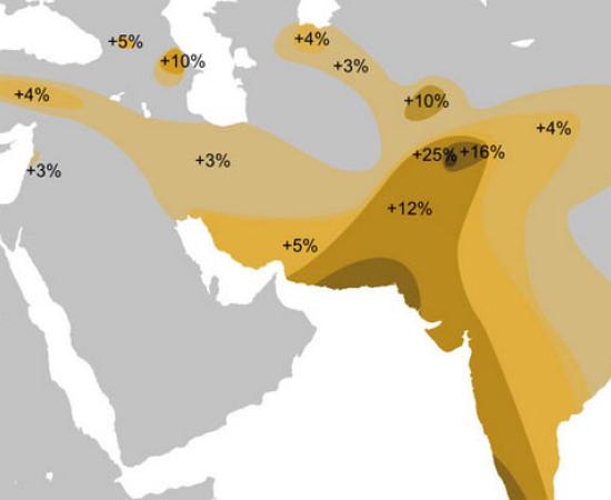 Genetic link between India and Mesopotamia