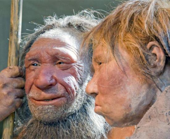Neanderthal
