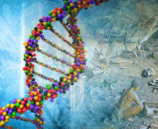 Genome Project - Out of Africa