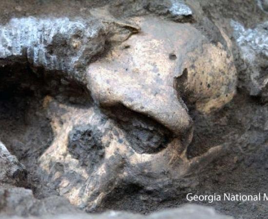 1.8-million-year-old skull - Georgia