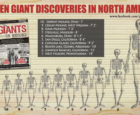 Graphic chart displaying the heights of various giant discoveries in North America (authors supplied)