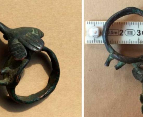 The supposed giants ring, with condor decoration. Source: Courtesy of Celso García Vargas / Author supplied