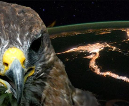 Great Pyramid of Giza as a monument of creation 