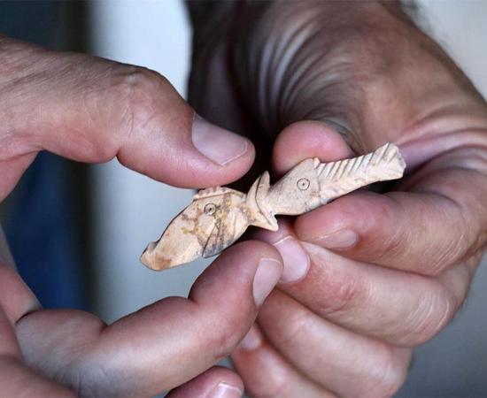 One of the carved goat bone objects, depicting two fish, face to face, recently found in an ancient Greek garbage dump in western Turkey.             Source: Hurriyet Daily News