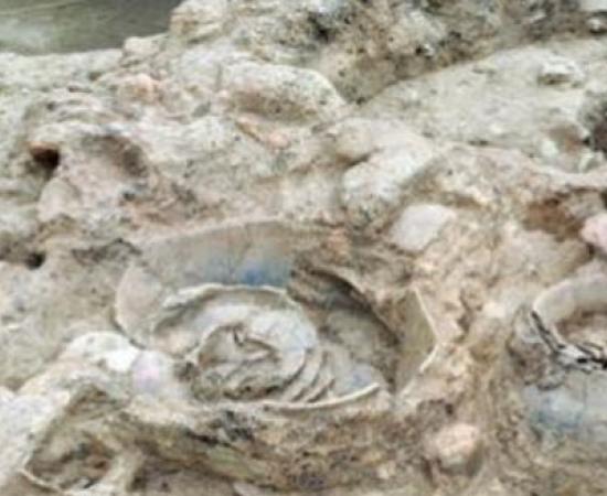 Famine in Ancient Greece