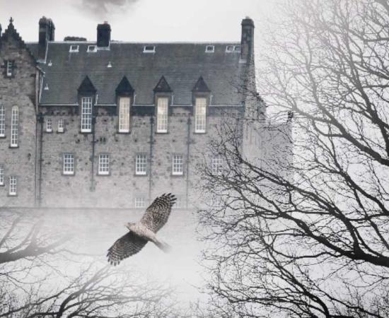 Edinburgh Castle is reputed to be one of the most haunted monuments in the world! This is unsurprising, given all the bloodshed it’s seen since the 12th century.	Source: Savvapanf Photo / Adobe Stock
