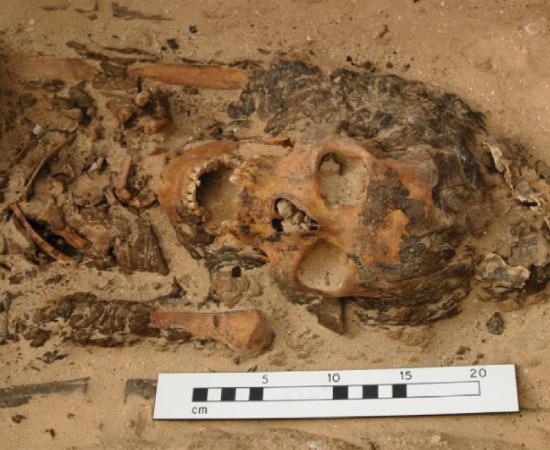 One of the Amarna graves found with a head cone. Source: Courtesy of the Amarna Project via Antiquity Publications Ltd