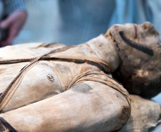 Egyptian mummy. Credit: Andrea Izzotti / Adobe Stock