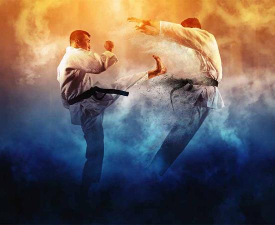 Two men practicing karate	Source: Andrey Burmakin / Adobe Stock