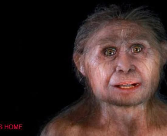 Hobbits - Ancient Human Species