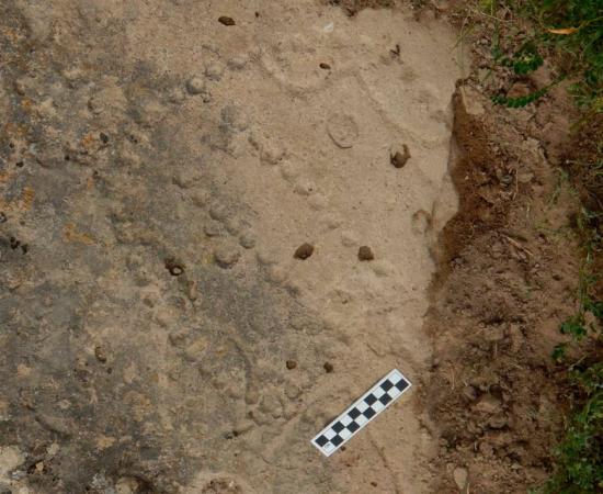 Pattern of holes carved into ancient shelter in Azerbaijan are the remains of one of the world’s oldest games.