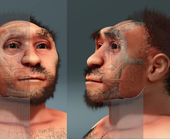 Homo erectus pekinensis, forensic facial reconstruction.